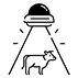 about-exp