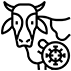 about-exp